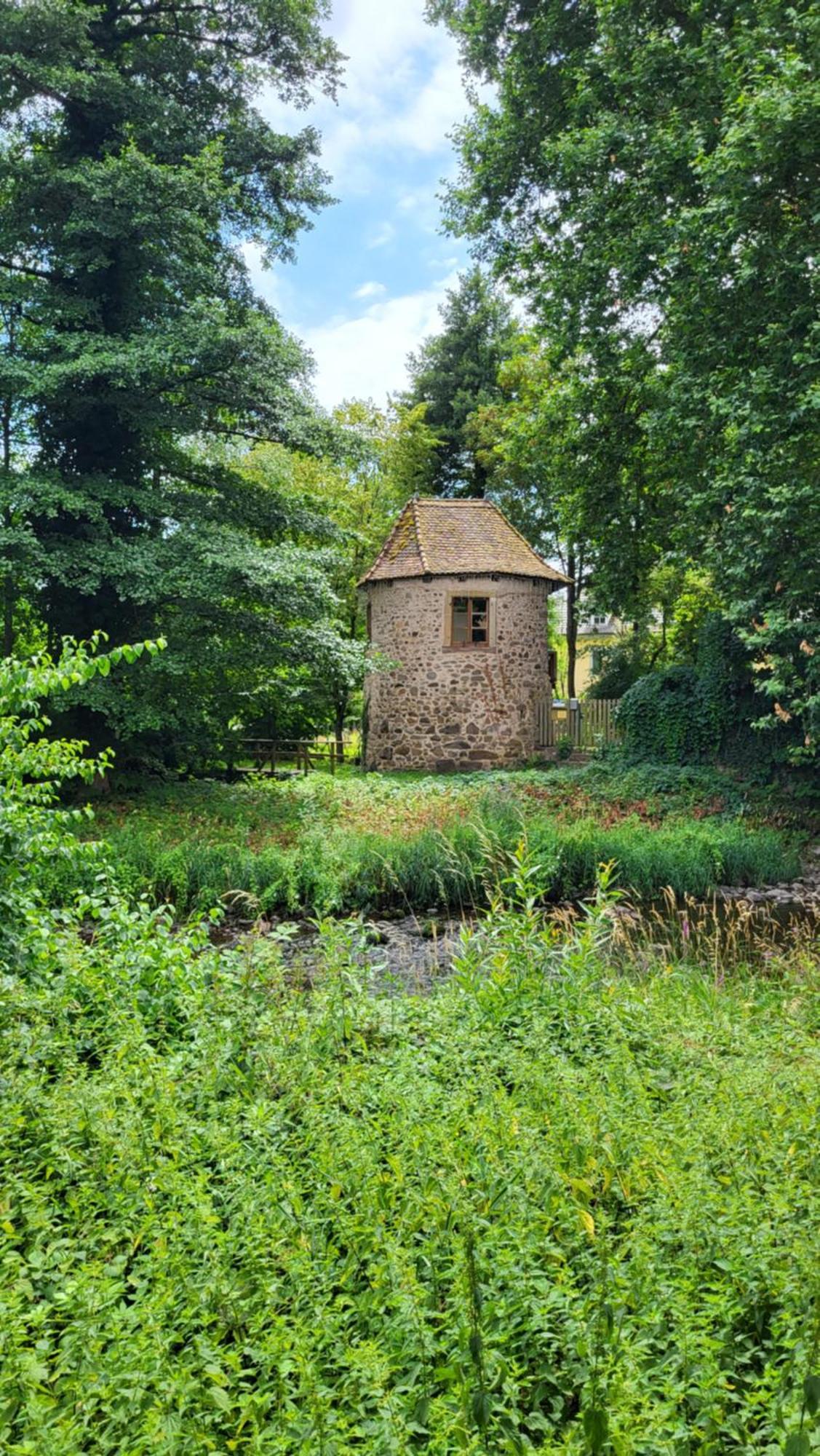 Gite Violette Et Pierrot Masevaux-Niederbruck Luaran gambar