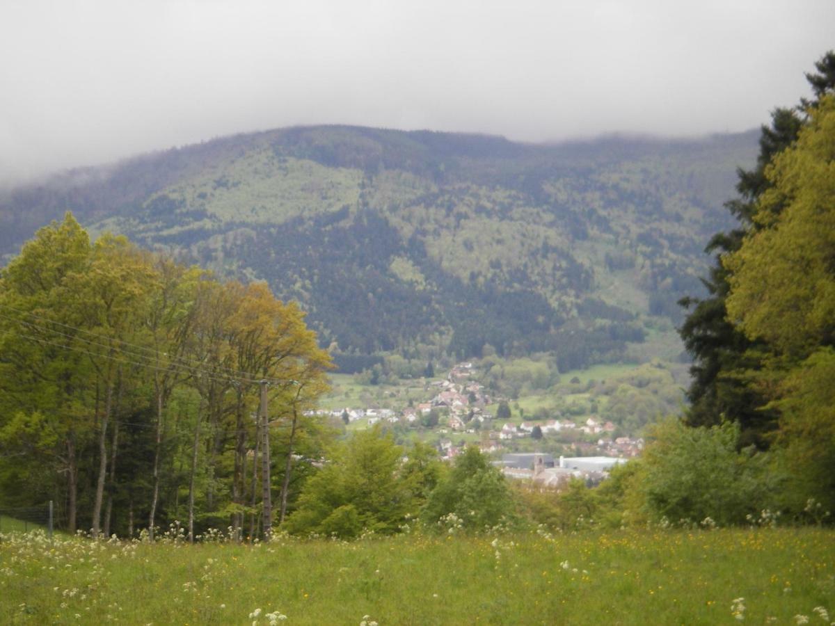 Gite Violette Et Pierrot Masevaux-Niederbruck Luaran gambar